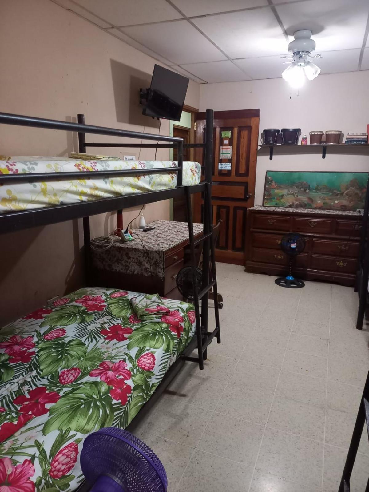 Pacasa Hostel David Luaran gambar