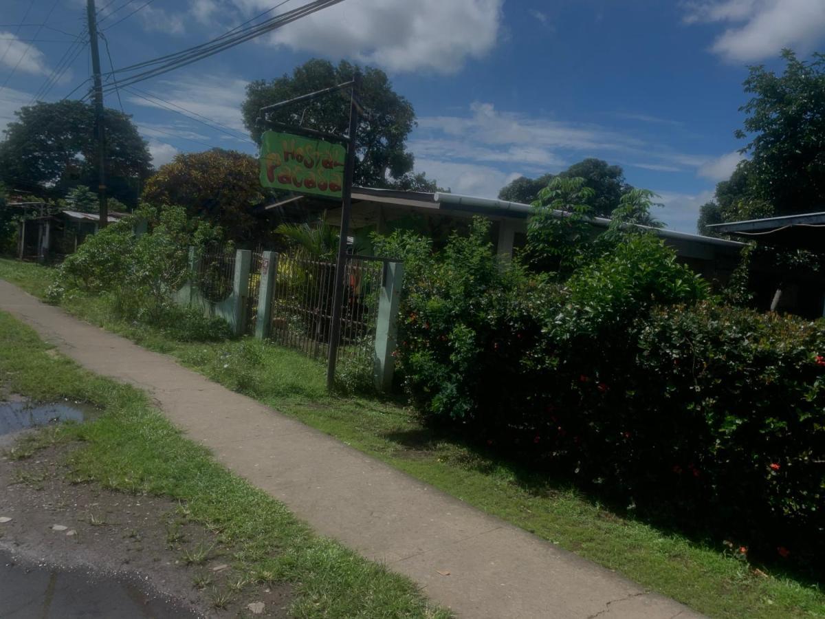 Pacasa Hostel David Luaran gambar
