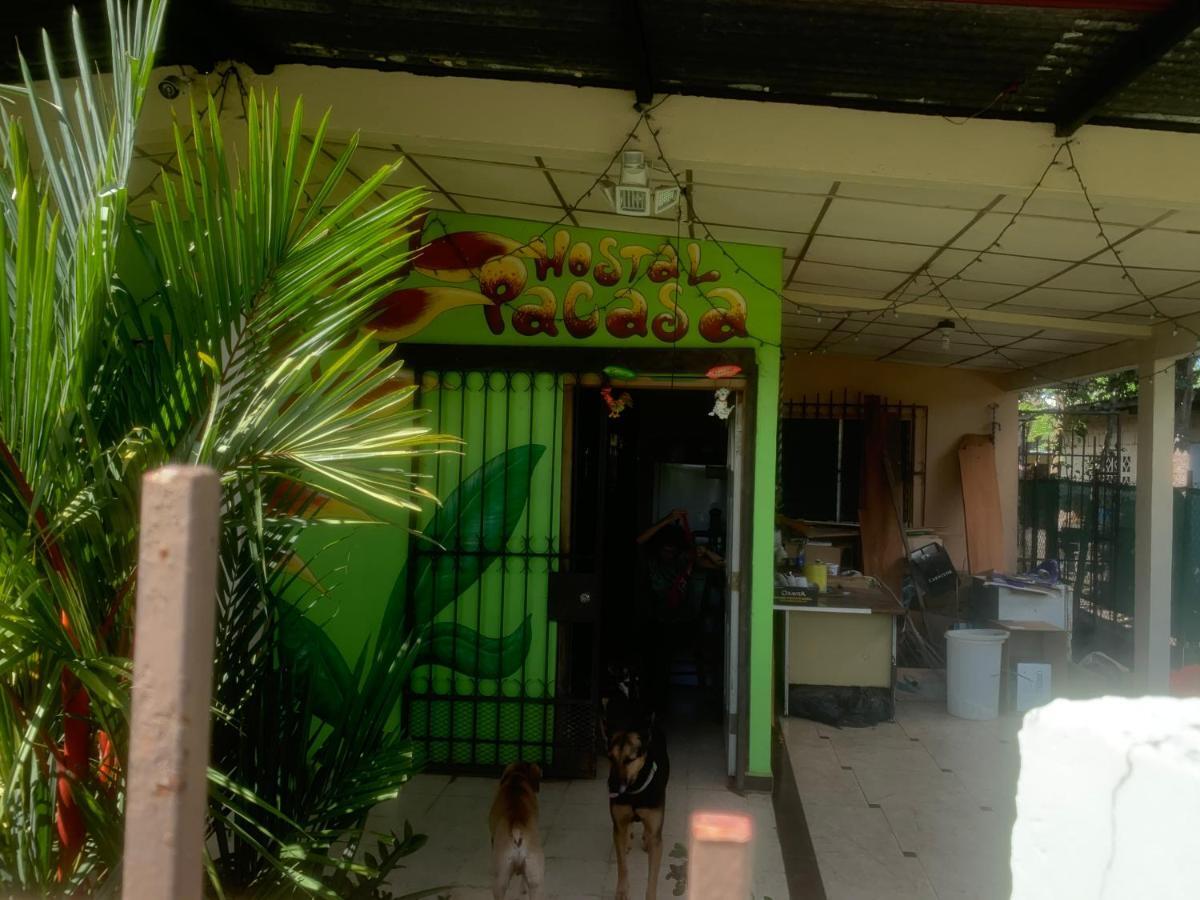 Pacasa Hostel David Luaran gambar