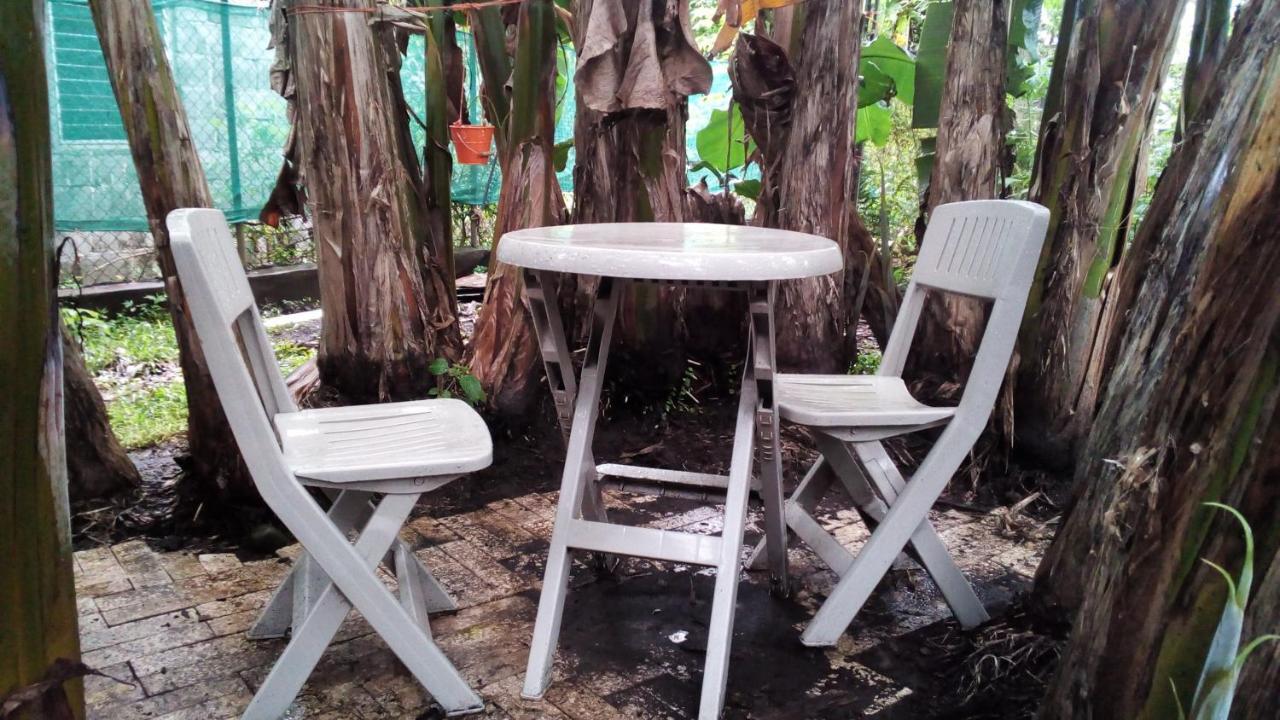 Pacasa Hostel David Luaran gambar