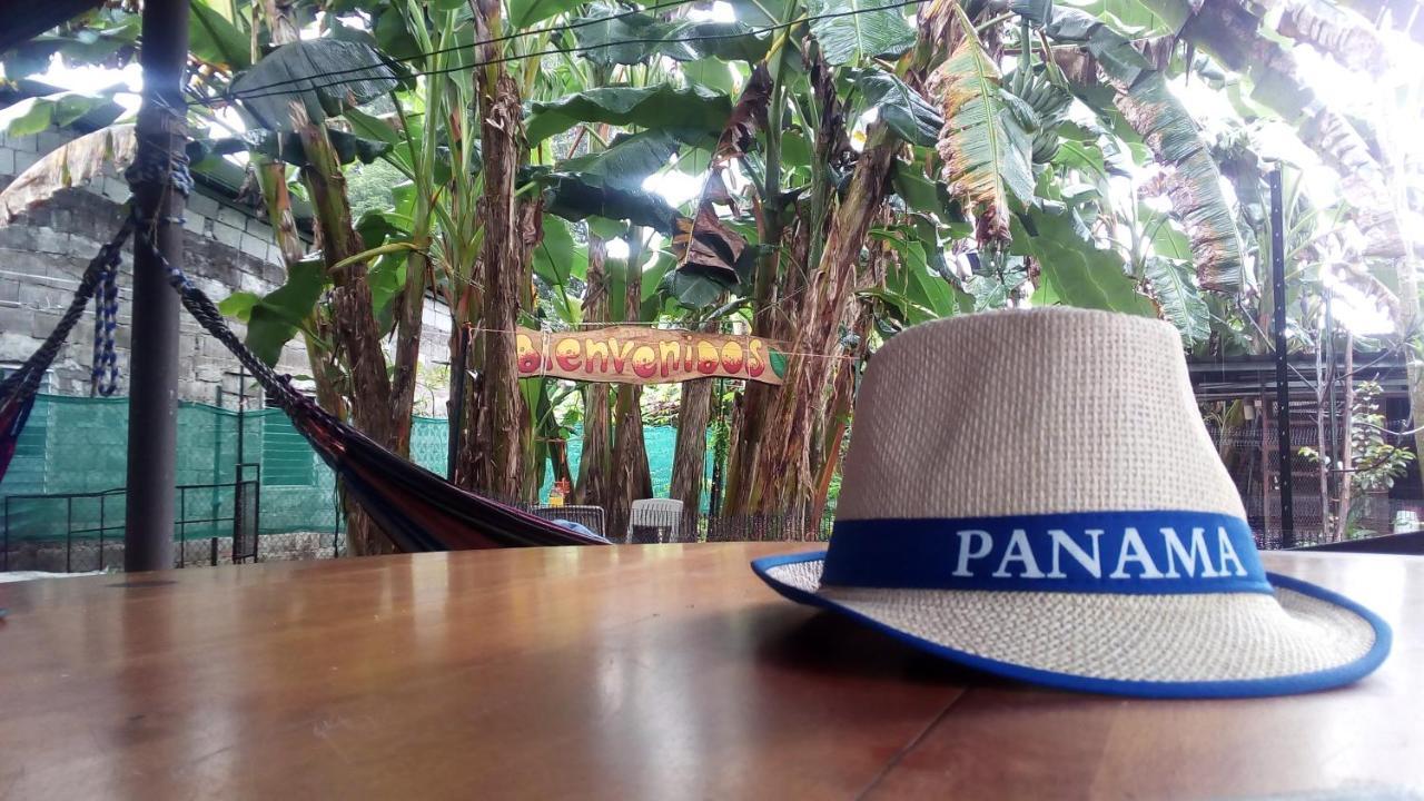 Pacasa Hostel David Luaran gambar